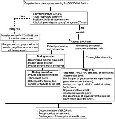 Precautionary Measures: Performing ERCP on a Patient With Juxtapapillary Duodenal Diverticula (JPDD)-Related Biliary Stone After COVID-19 Lockdown Restriction Lifted in Wuhan, China